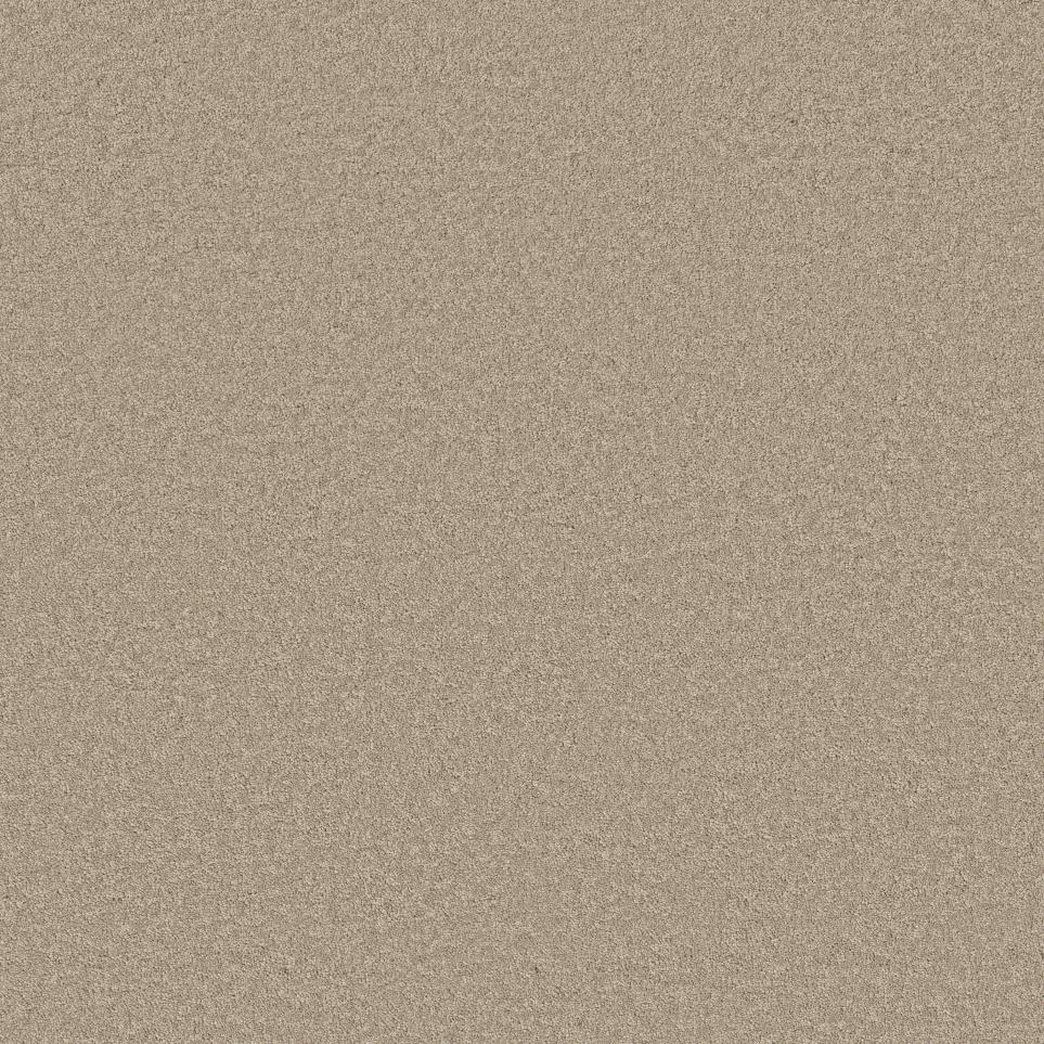 Texture Explorer Beige/Tan Carpet