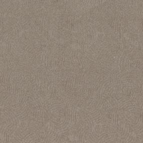 Pattern Gunslinger Beige/Tan Carpet
