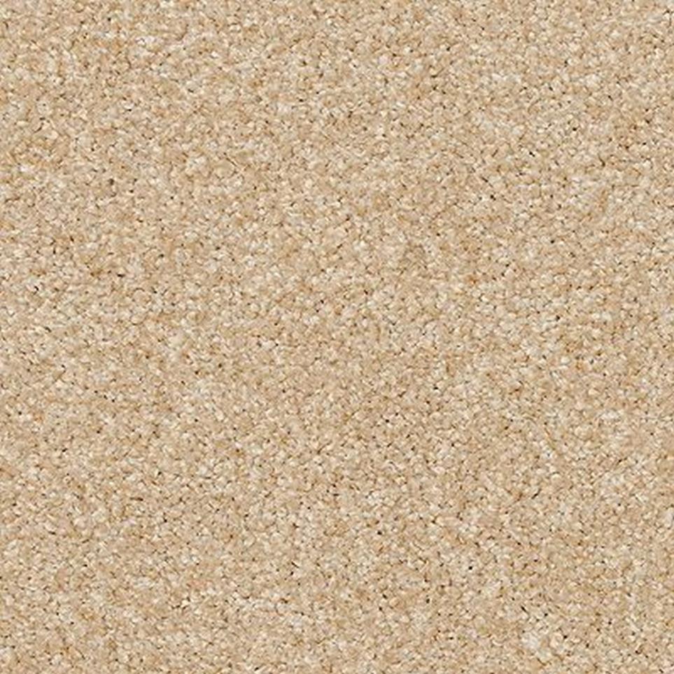 Texture Anemones Beige/Tan Carpet