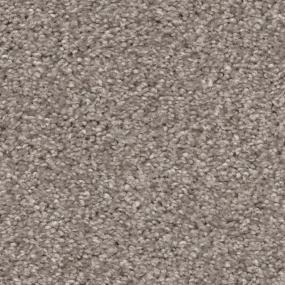 Casual Texture Pebble Creek Beige/Tan Carpet