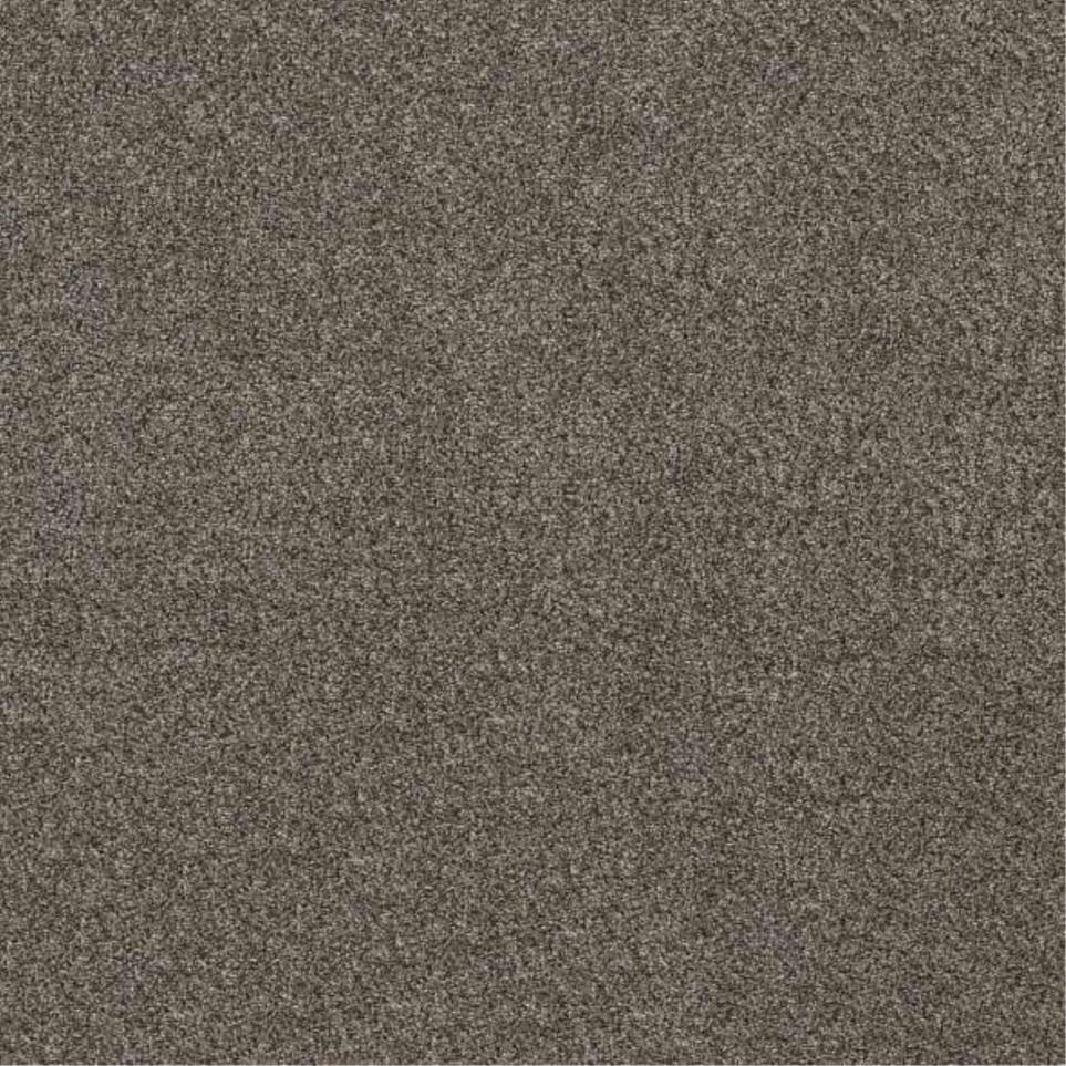Textured Saxony Creekbed Brown Carpet