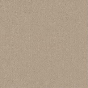 Pattern Stone Beige/Tan Carpet