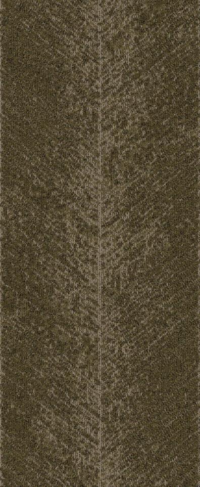 Pattern COURSE Brown Carpet