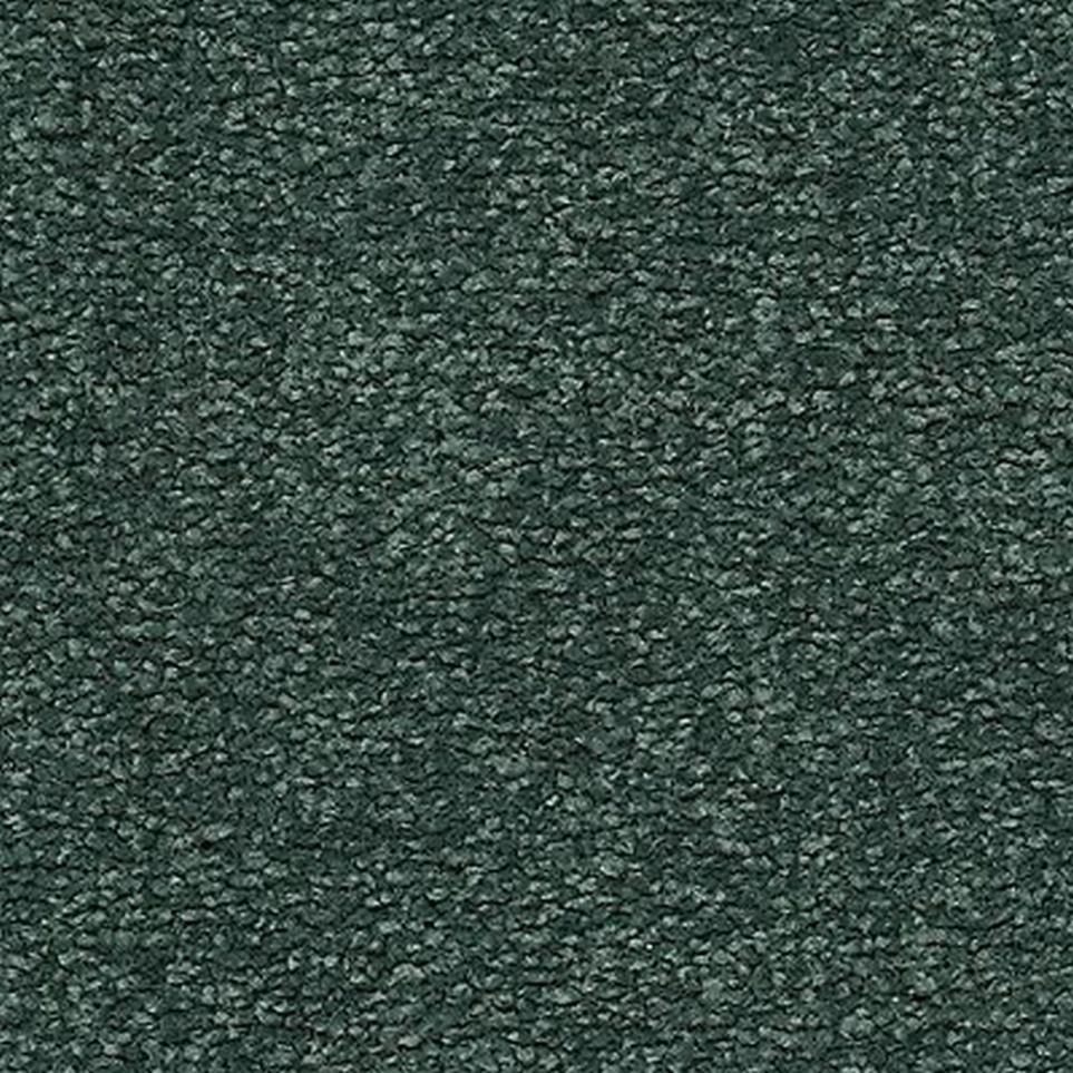 Textured Saxony Willow Gray Carpet