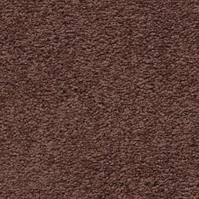 Textured Saxony Before Winter Brown Carpet