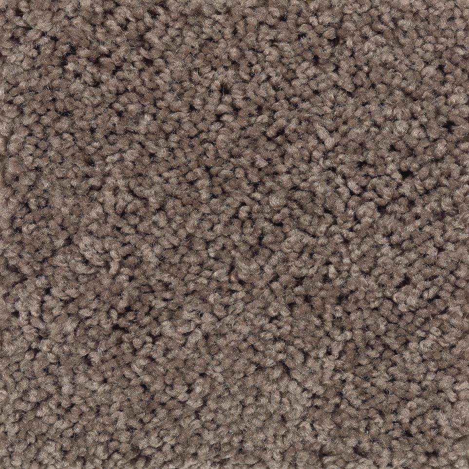 Textured Saxony Chocolate Mocha Brown Carpet