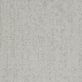 Pattern Genuine Gray Carpet