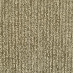 Pattern Zorro Beige/Tan Carpet
