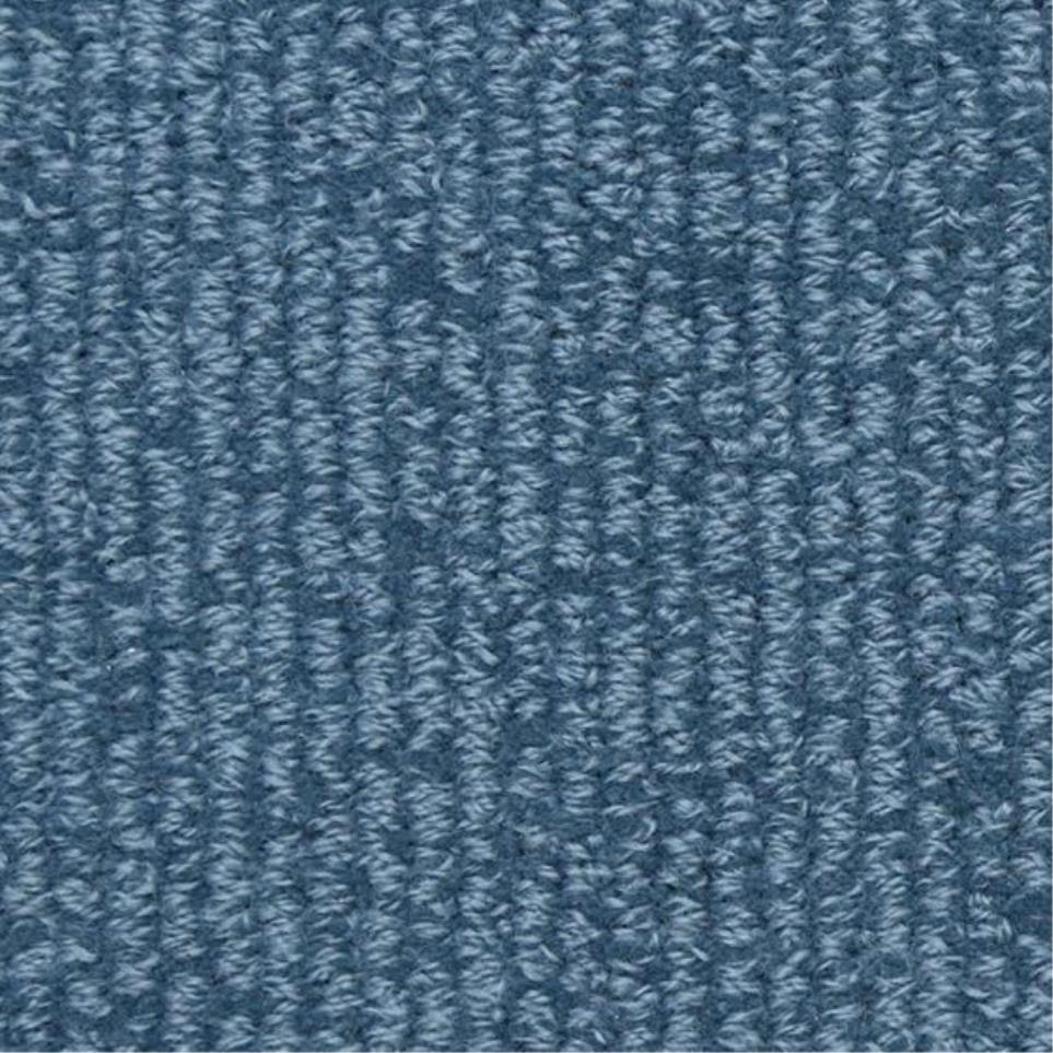 Loop Fashionable Blue Carpet