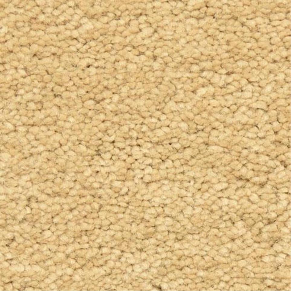 Casual Texture Dorado Beige/Tan Carpet