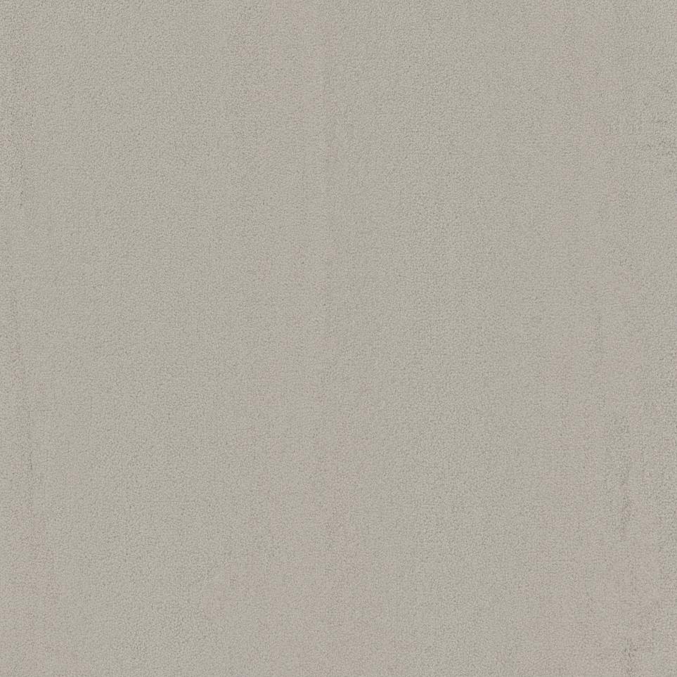 Casual Texture Seashell Gray Carpet