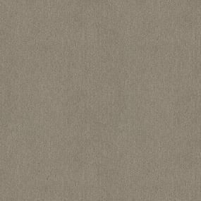 Pattern Mink Beige/Tan Carpet