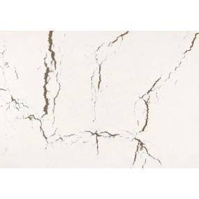 Slab Berkshire Brass Satin Ridge White Quartz Countertops