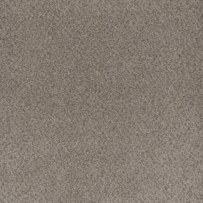 Cut Pile Thoughtful Memories Brown Carpet