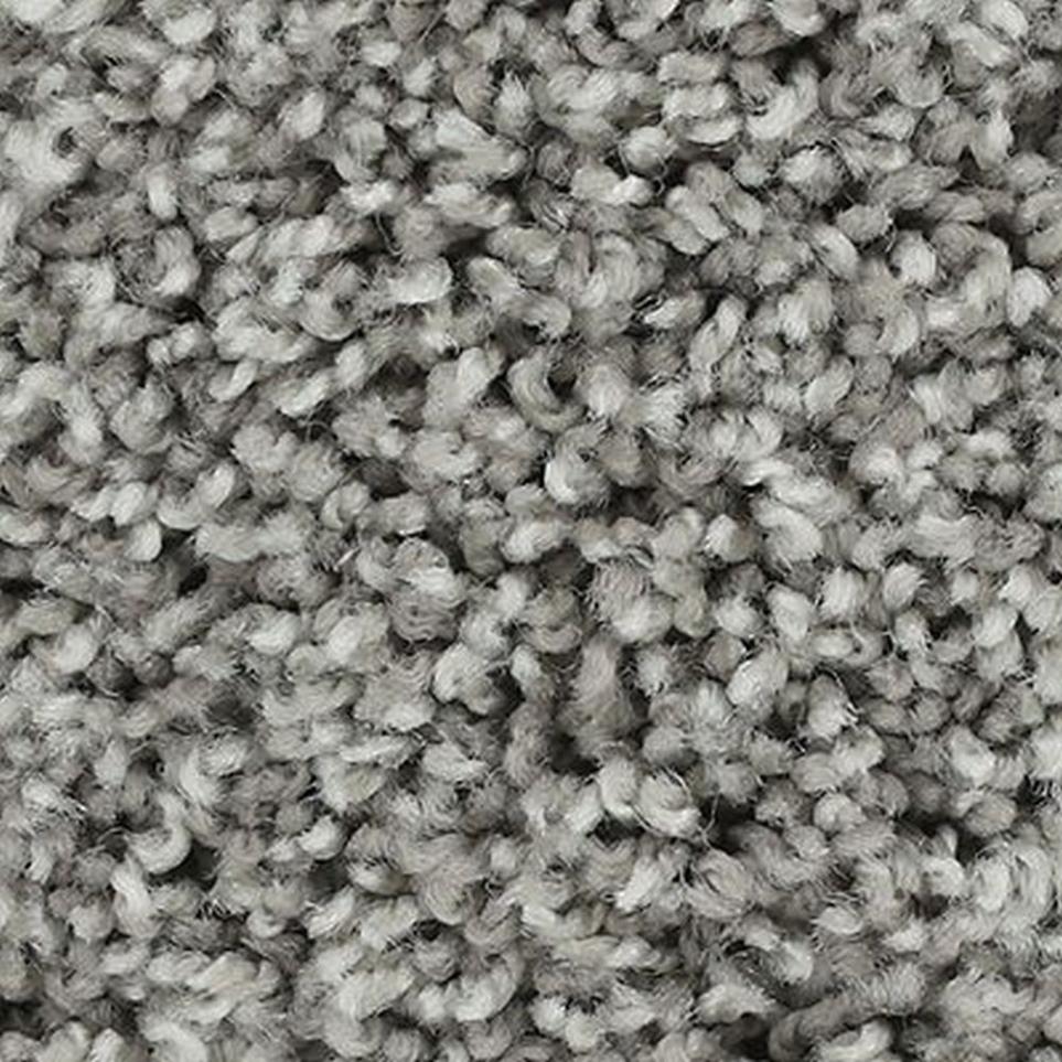 Textured Saxony British Flannel Gray Carpet