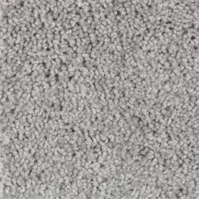 Textured Saxony Silver Fox Gray Carpet