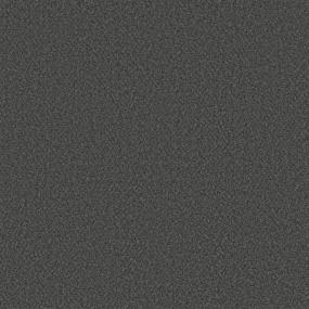 Textured Saxony Parliament Gray Carpet