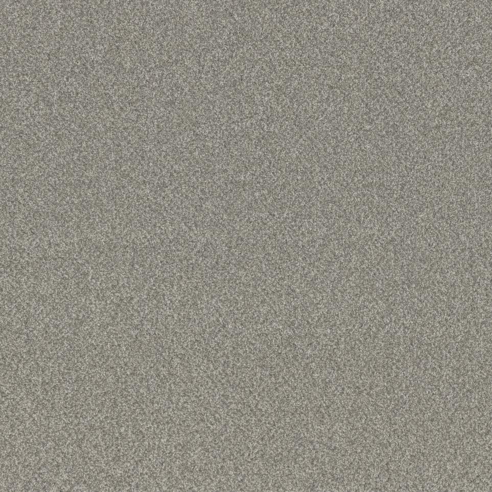 Texture Soft Touch Gray Carpet