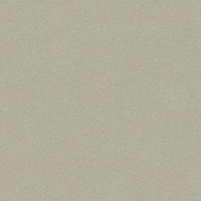 Textured Saxony Airship Beige/Tan Carpet