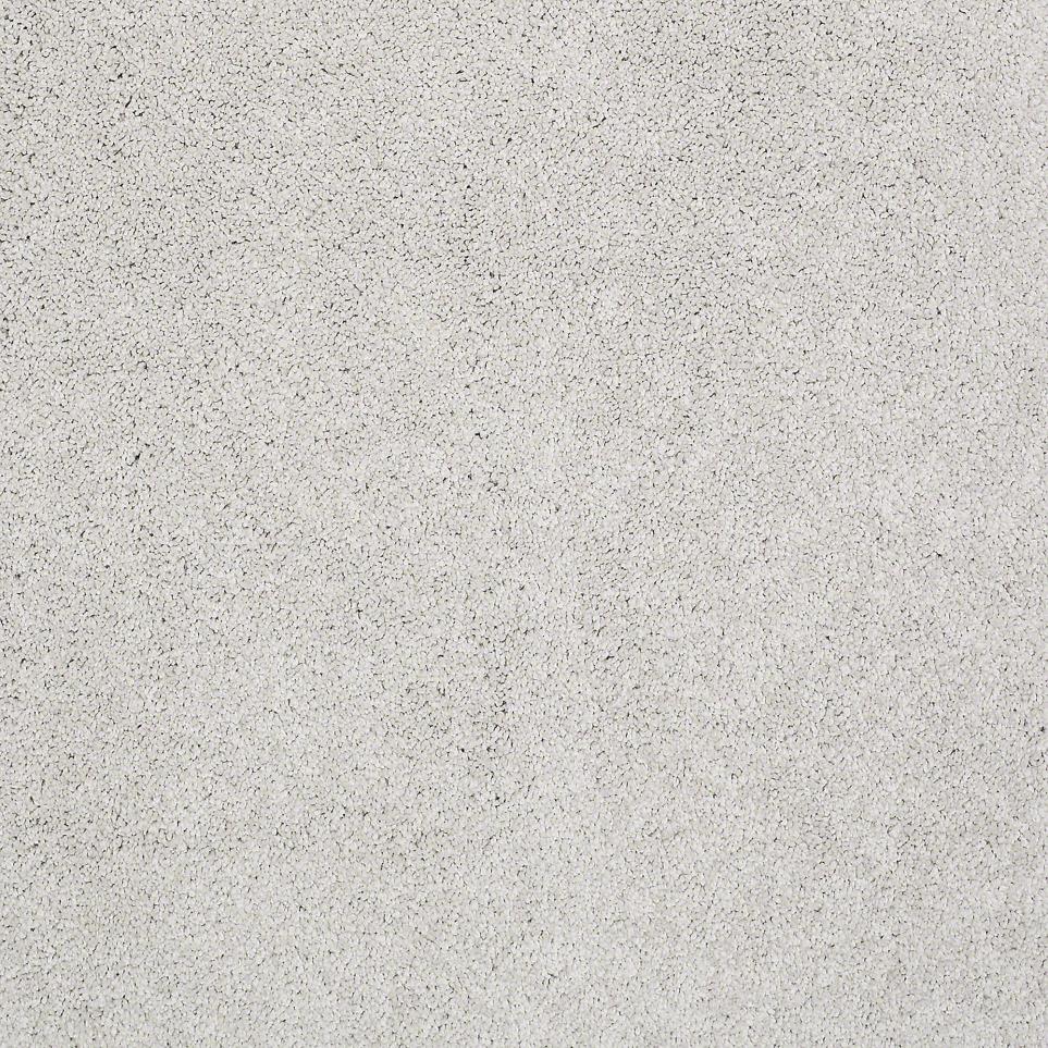 Texture Snicker Doodle Gray Carpet
