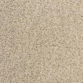 Textured Saxony Tortilla Flat Beige/Tan Carpet