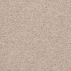 Textured Saxony Villa Brown Carpet