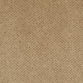 Pattern Shipwreck Beige/Tan Carpet