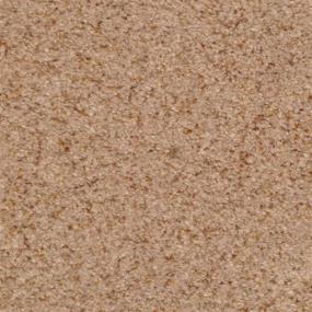 Casual Texture Granite Brown Carpet