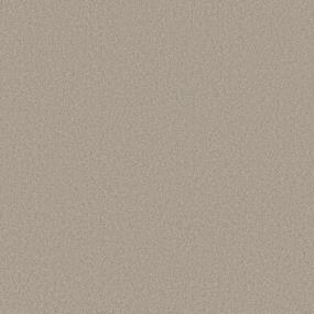 Textured Saxony Champagne Beige/Tan Carpet