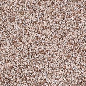 Textured Saxony Harmonious Beige/Tan Carpet