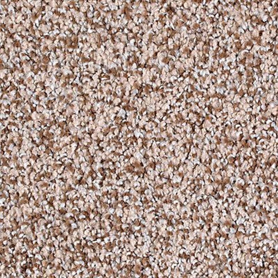 Textured Saxony Harmonious Beige/Tan Carpet
