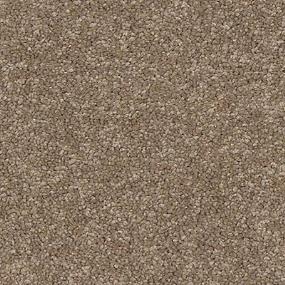 Texture Desert Hills Brown Carpet