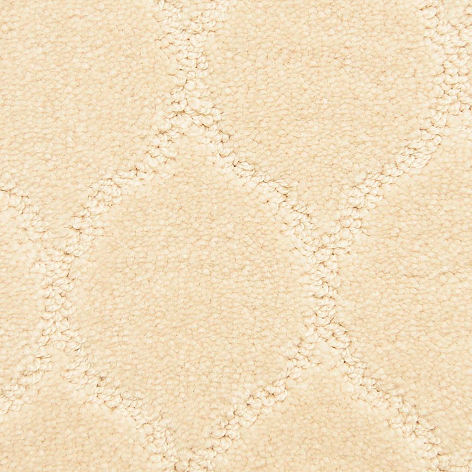 Pattern Magnificent Beige/Tan Carpet