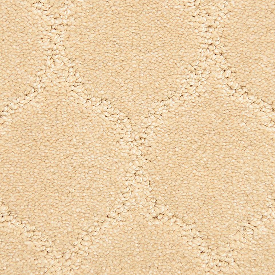 Pattern Stunning Beige/Tan Carpet