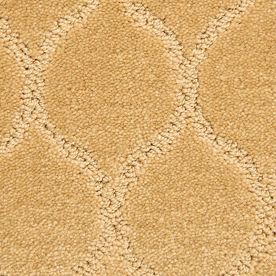 Pattern Special Beige/Tan Carpet