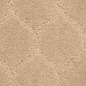 Pattern Wonderful Beige/Tan Carpet