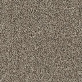 Textured Saxony Farm House Brown Carpet