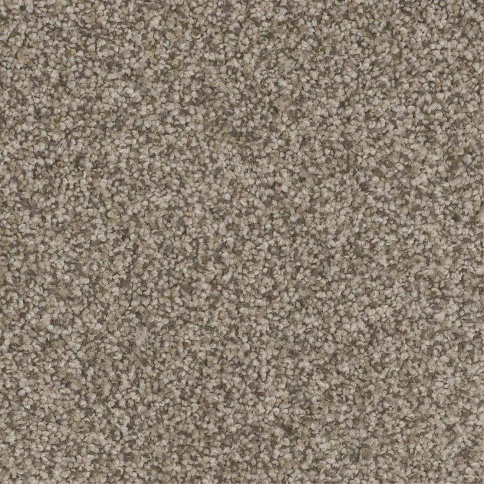 Textured Saxony Manor Brown Carpet