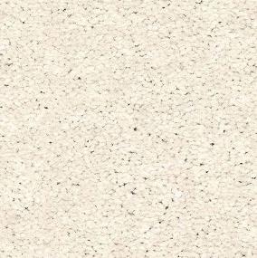 Textured Saxony Content Beige/Tan Carpet