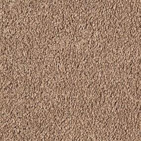 Textured Saxony TEMPTING TAUPE Beige/Tan Carpet