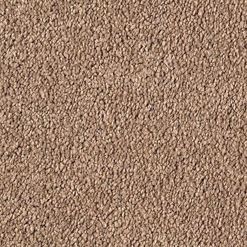 Textured Saxony TEMPTING TAUPE Beige/Tan Carpet