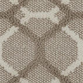 Loop Chart Room Brown Carpet