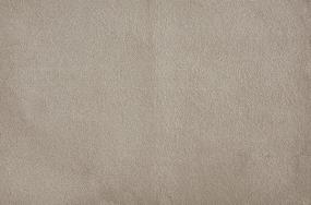 Plush Shadow Beige/Tan Carpet