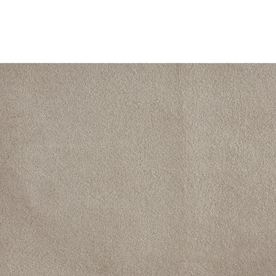 Plush Shadow Beige/Tan Carpet