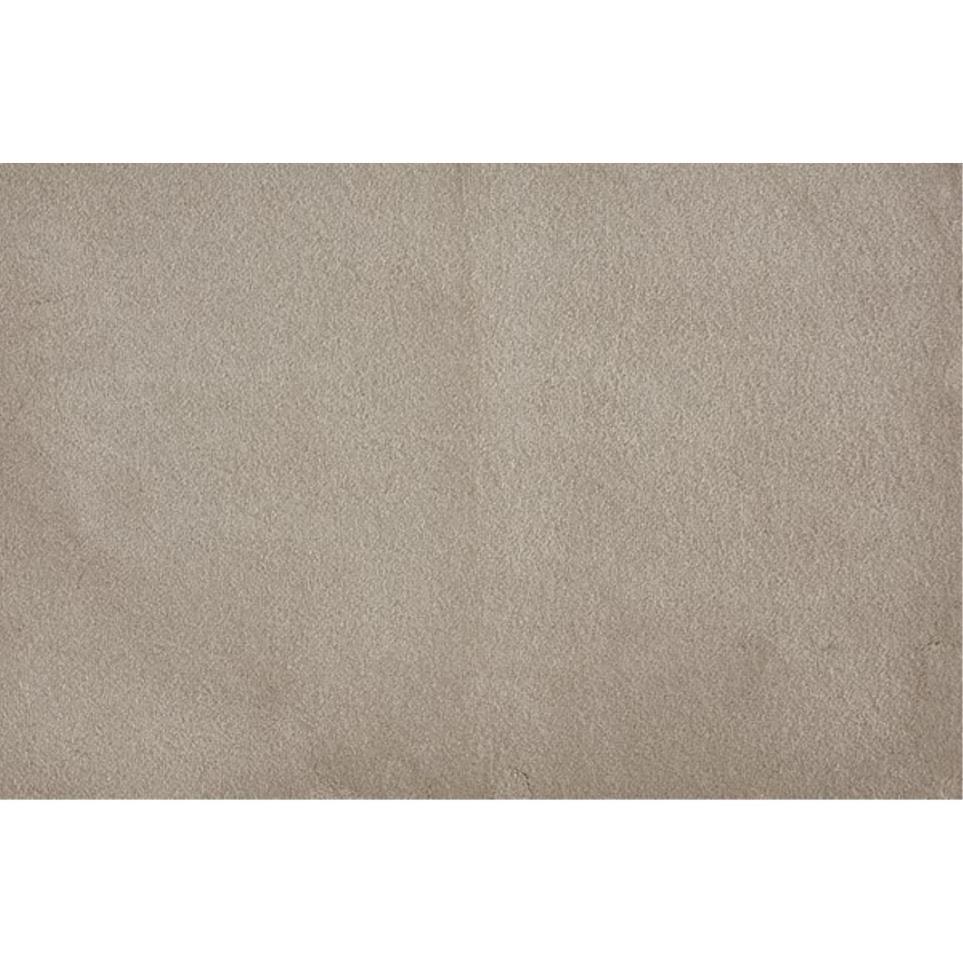 Plush Shadow Beige/Tan Carpet