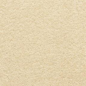 Texture Legato Beige/Tan Carpet