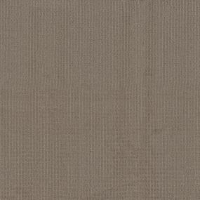 Pattern Cliffs Beige/Tan Carpet