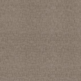 Pattern Courtyard Brown Carpet