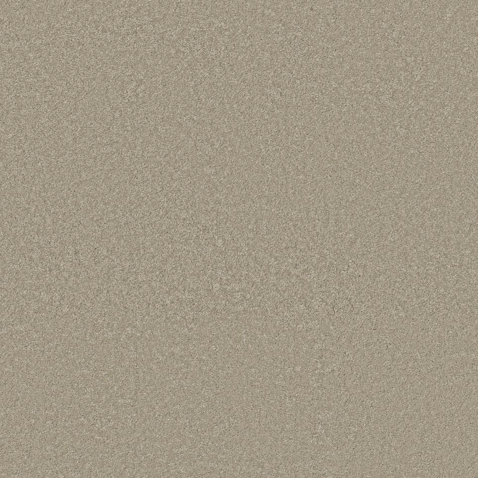 Plush Alabaster Beige/Tan Carpet