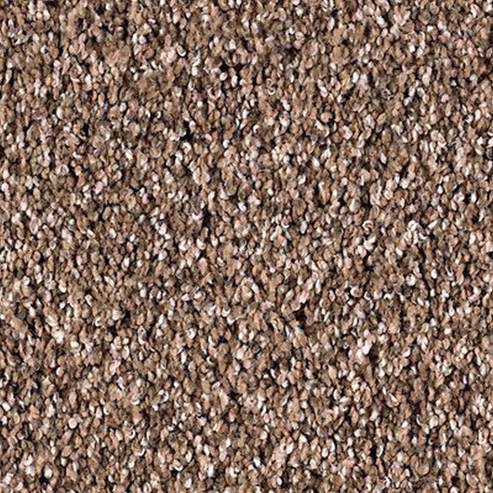Textured Saxony Kindling Brown Carpet